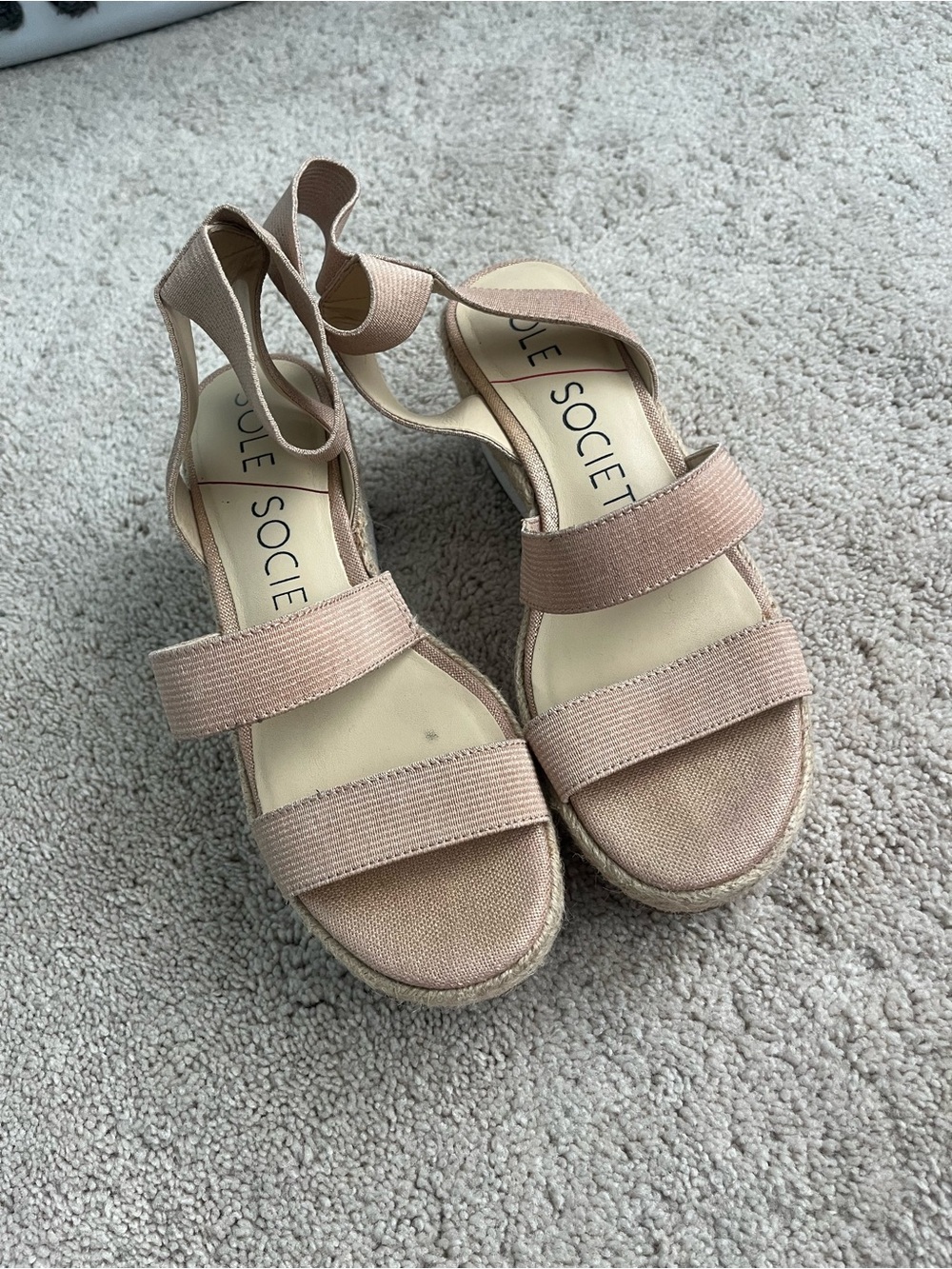 Sole Society Blush Pink Espadrille Wedge Sandals with Ankle Tie